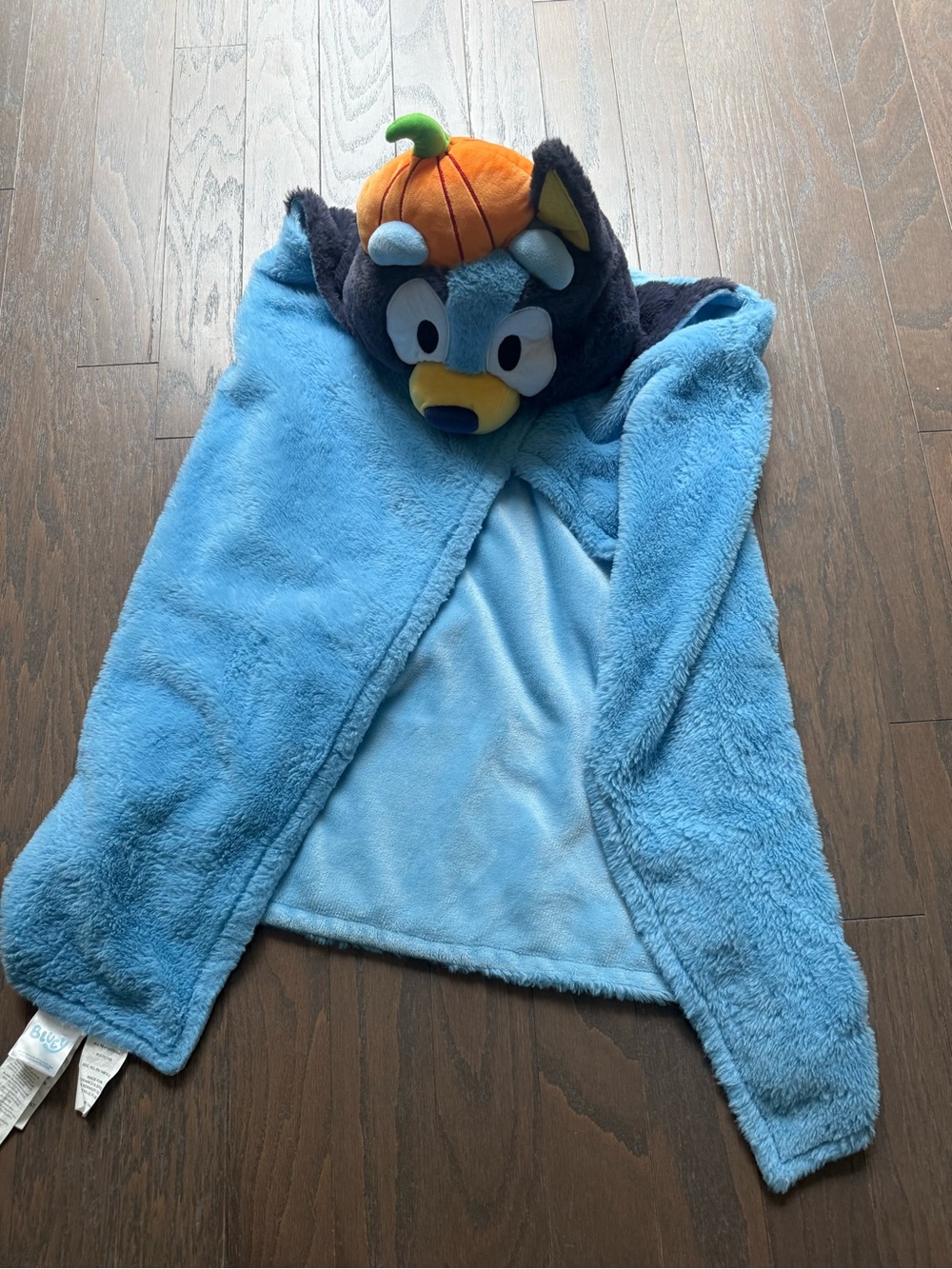 Disney Light Blue Plush Character Hooded Cape with Pumpkin Hat